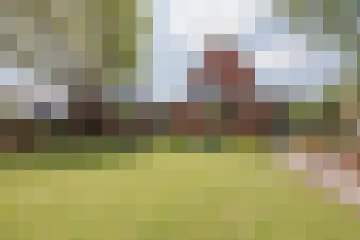 Scheepswerflaan 18 Raamsdonksveer thumbnail 9