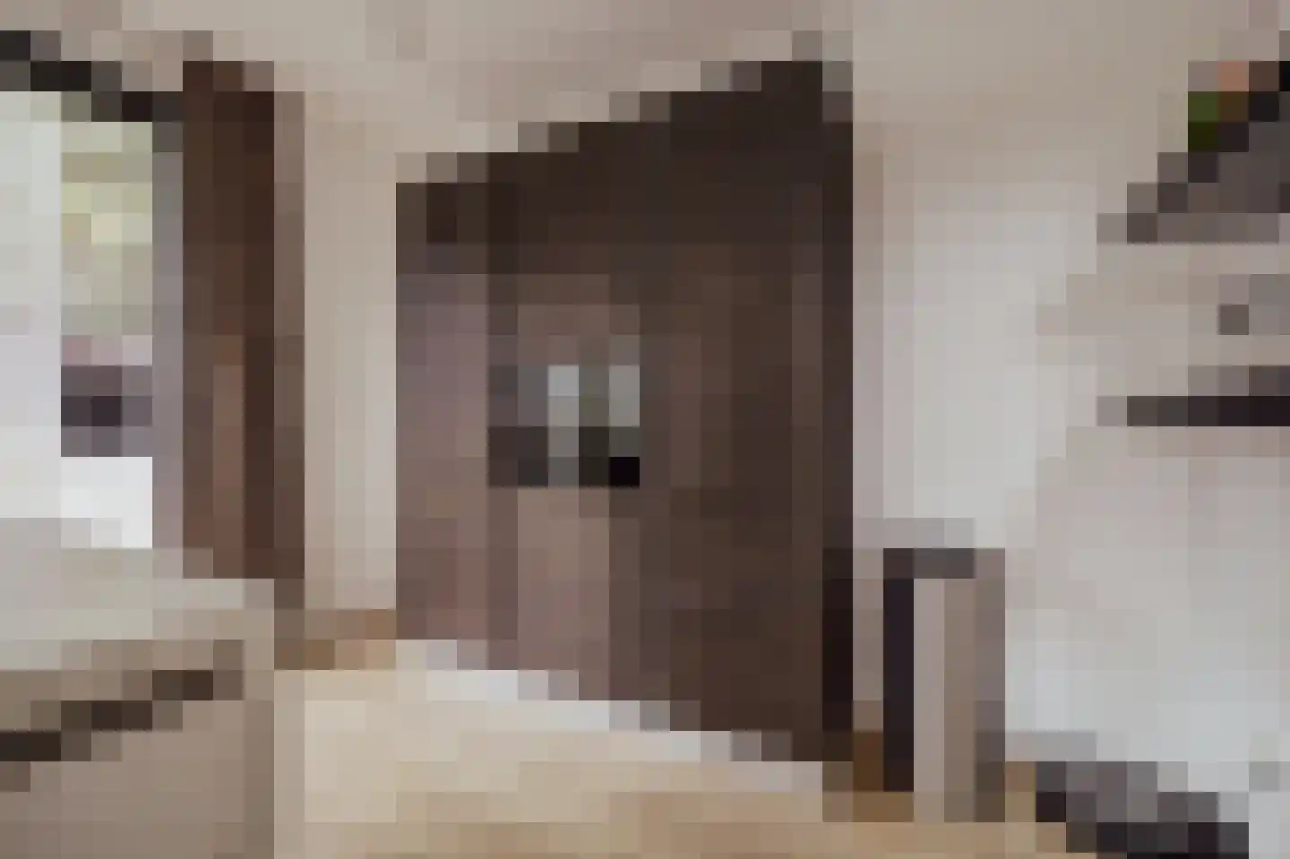 Scheepswerflaan 36 Raamsdonksveer thumbnail 27