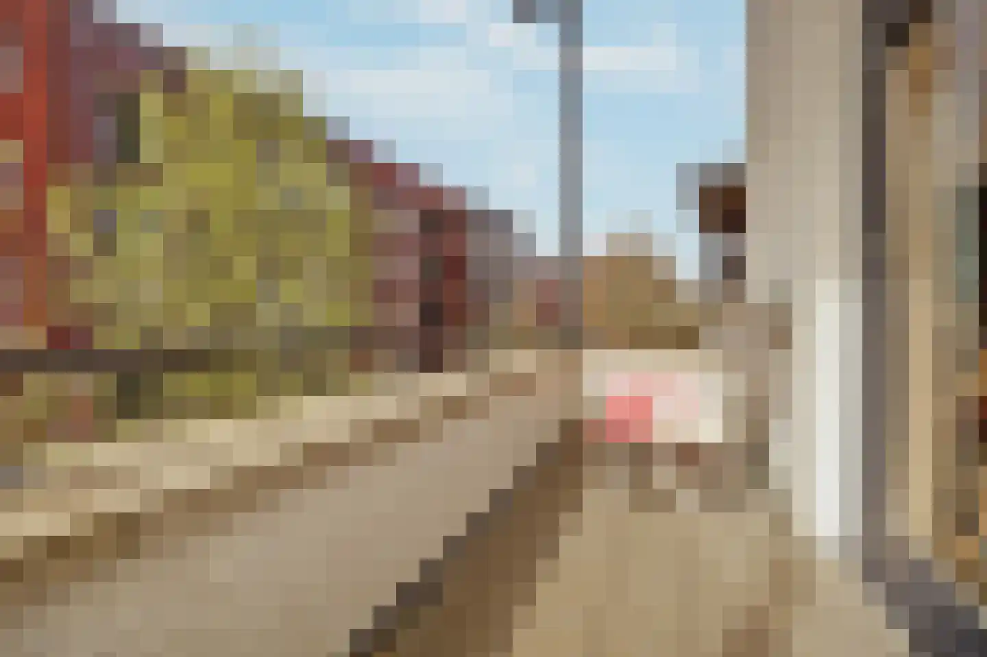 Scheepswerflaan 36 Raamsdonksveer thumbnail 33