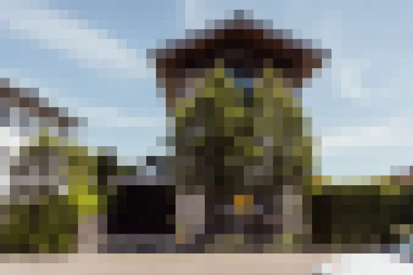 Scheepswerflaan 36 Raamsdonksveer thumbnail 53