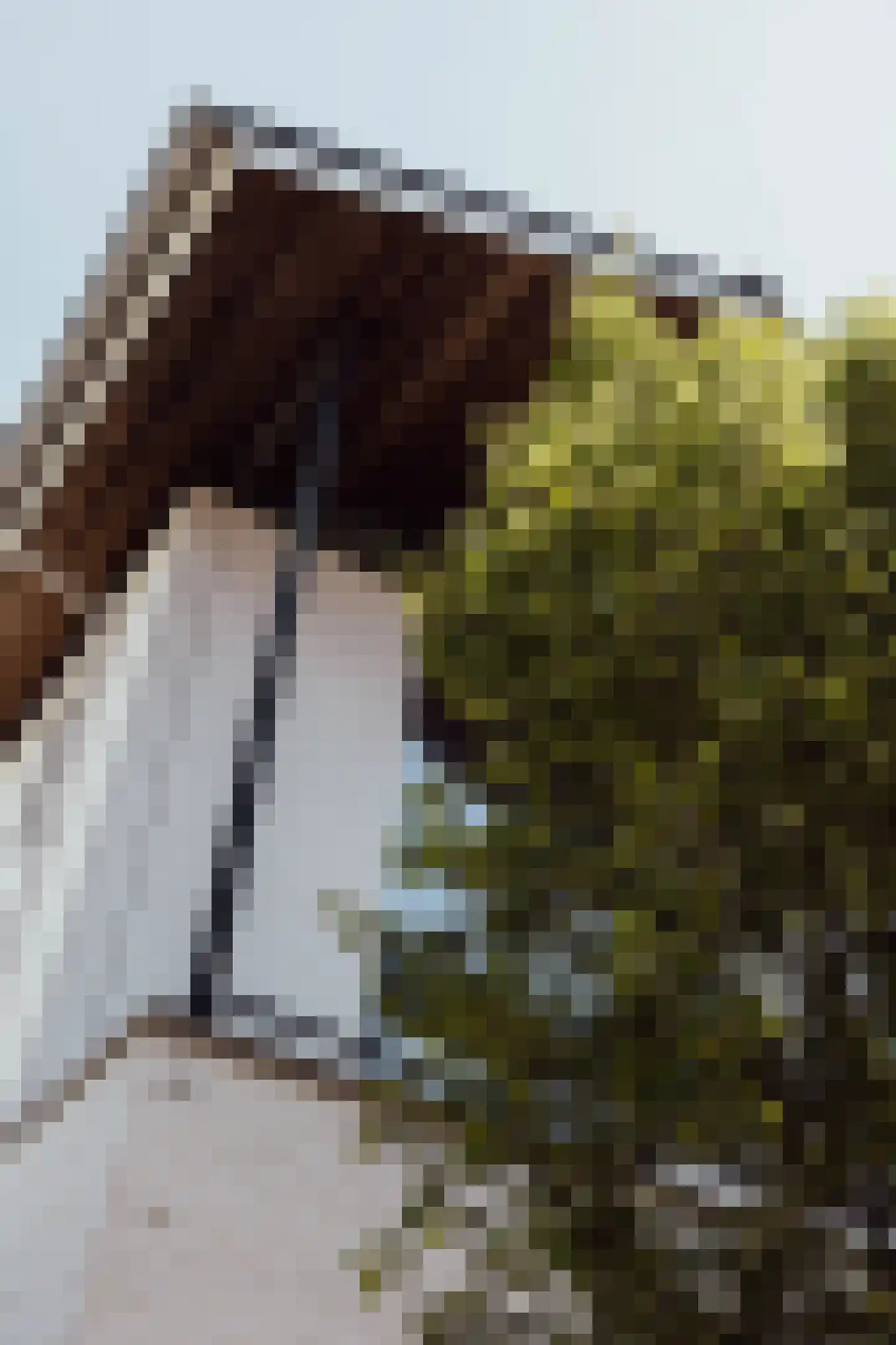 Scheepswerflaan 36 Raamsdonksveer thumbnail 54