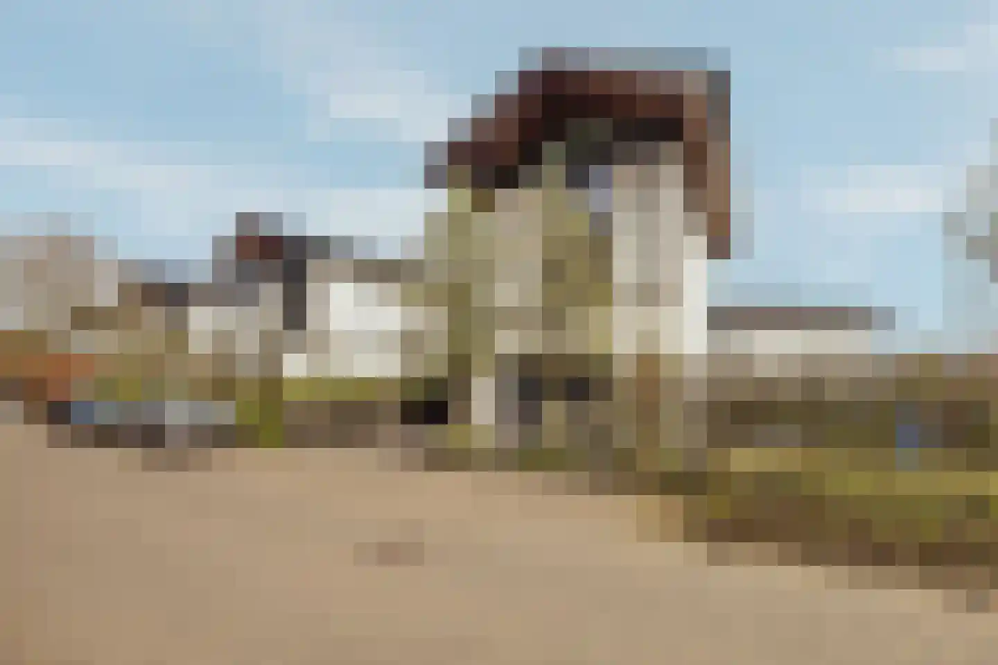Scheepswerflaan 36 Raamsdonksveer thumbnail 71