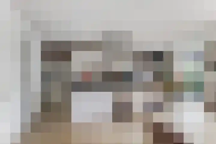 Scheepswerflaan 41 Raamsdonksveer thumbnail 8