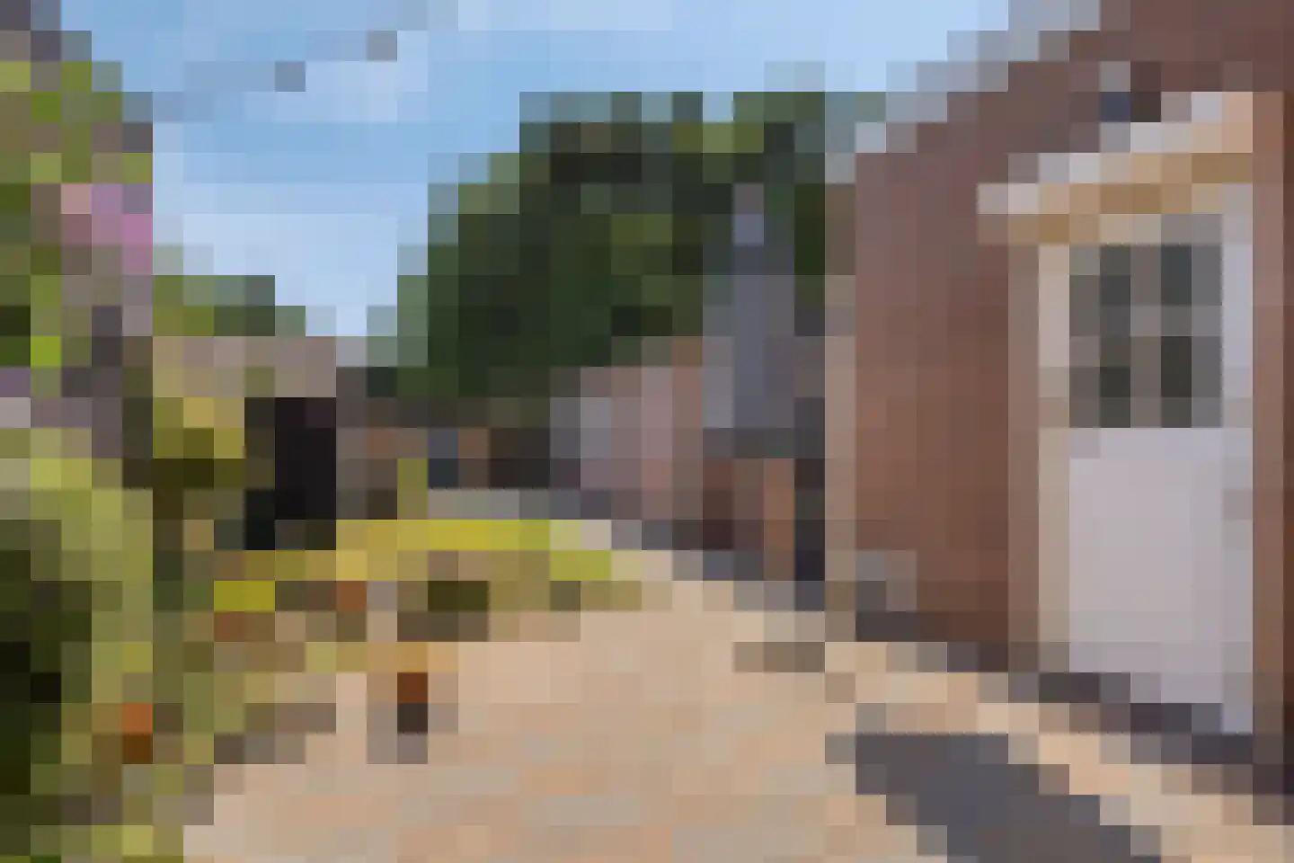 Scheepvaartstraat 13 Breskens thumbnail 18