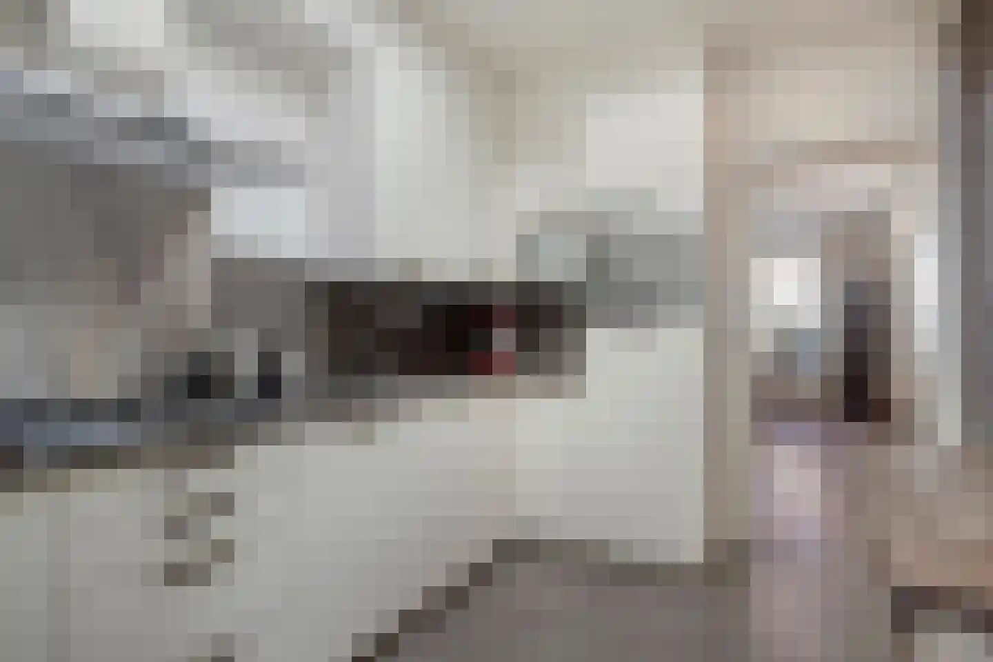 Scheepvaartstraat 13 Breskens thumbnail 9