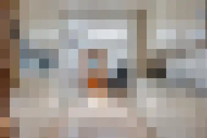 Scheepvaartstraat 29 Oude Pekela thumbnail 15