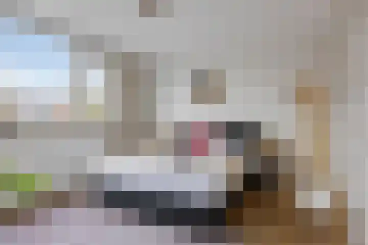 Scheepvaartstraat 52 Oude Pekela thumbnail 21