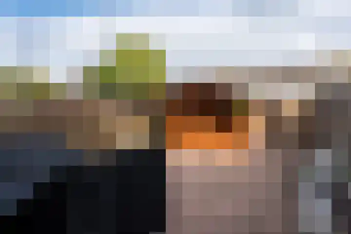Scheepvaartstraat 58 Oude Pekela thumbnail 34