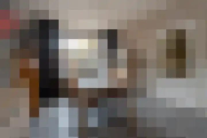 Scheepvaartstraat 58 Oude Pekela thumbnail 7