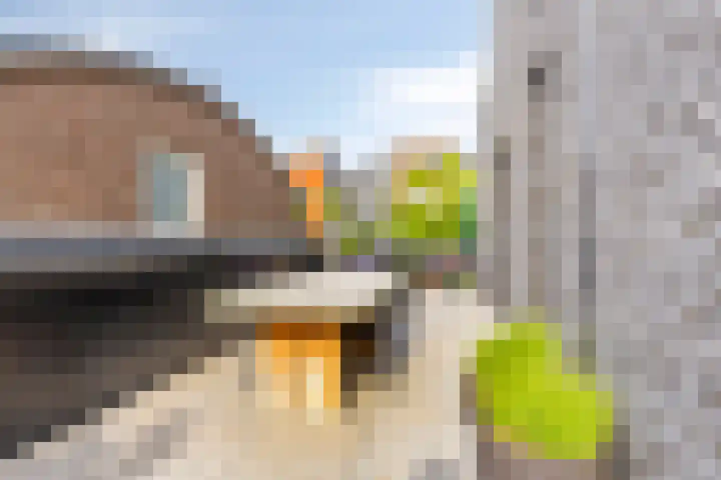 Scheepvaartstraat 8 A Deventer thumbnail 19