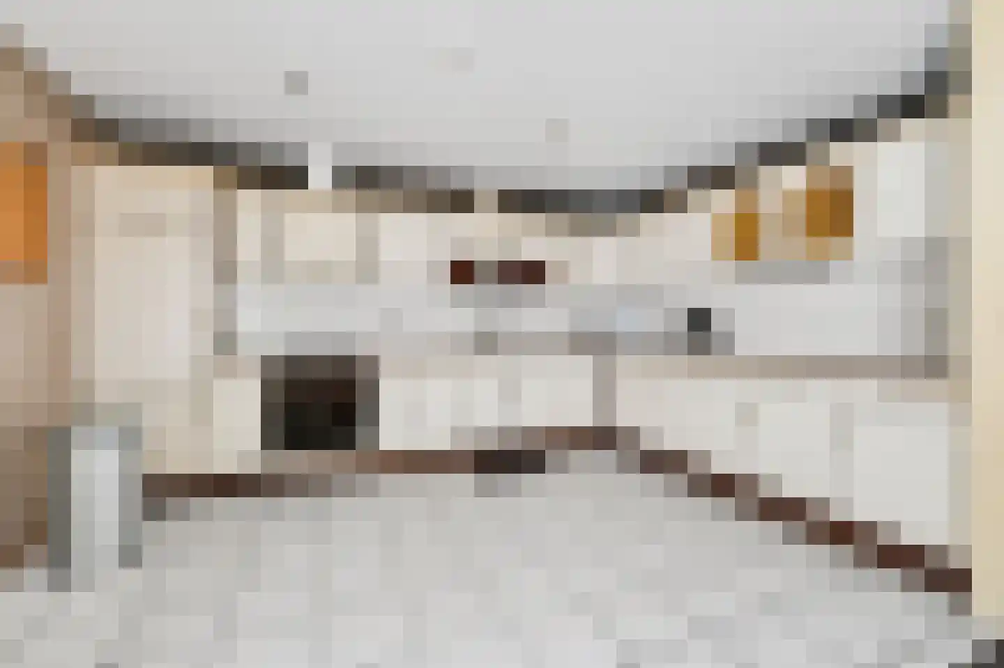Scheerboom 4 Emmer-Compascuum thumbnail 11