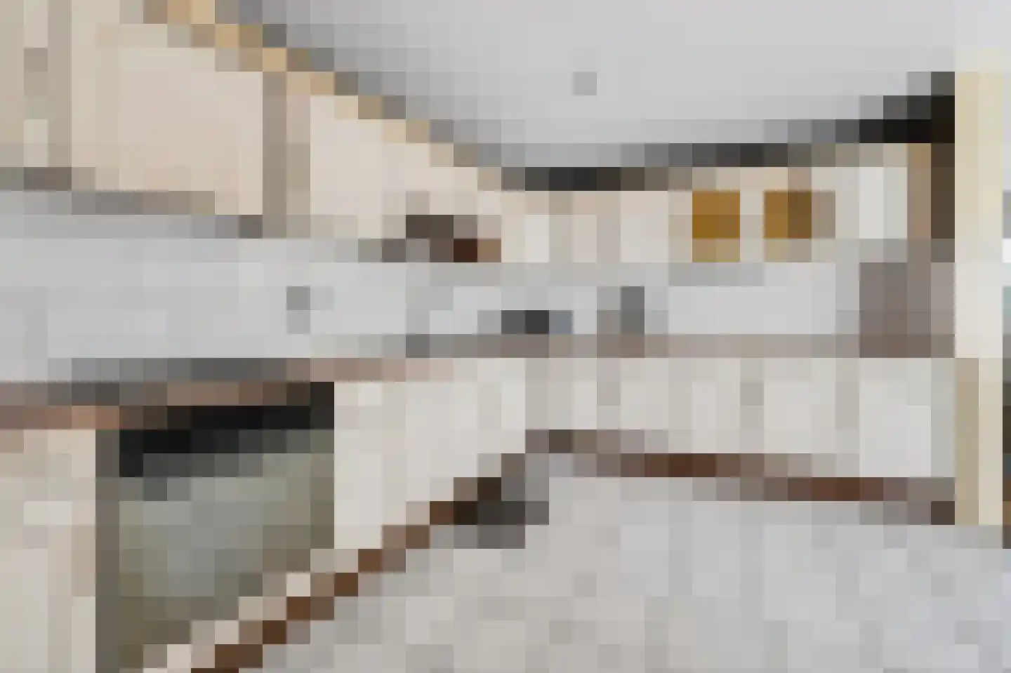 Scheerboom 4 Emmer-Compascuum thumbnail 12