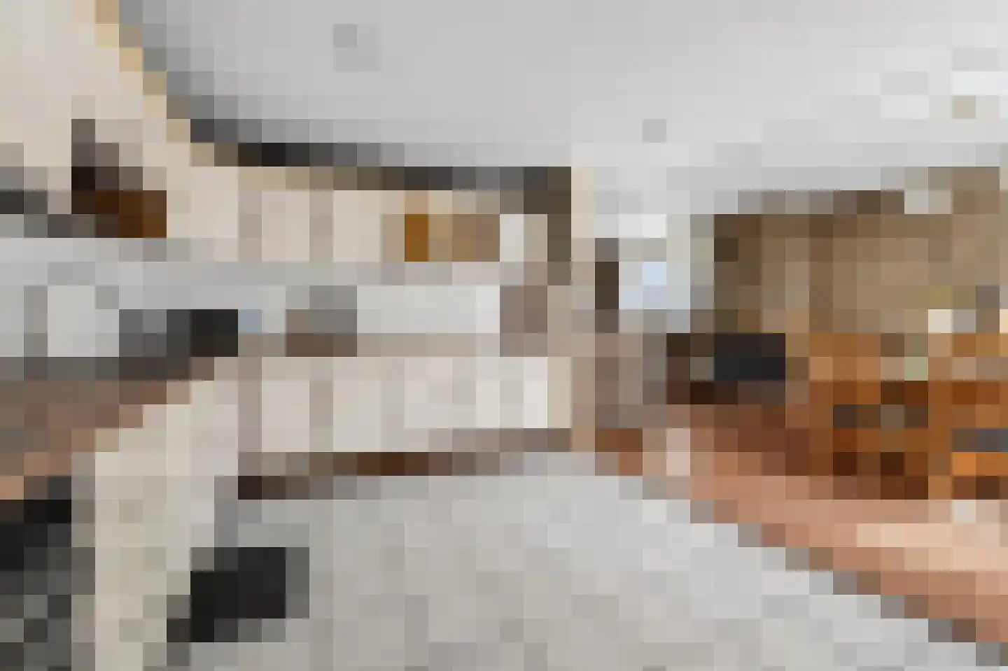 Scheerboom 4 Emmer-Compascuum thumbnail 13