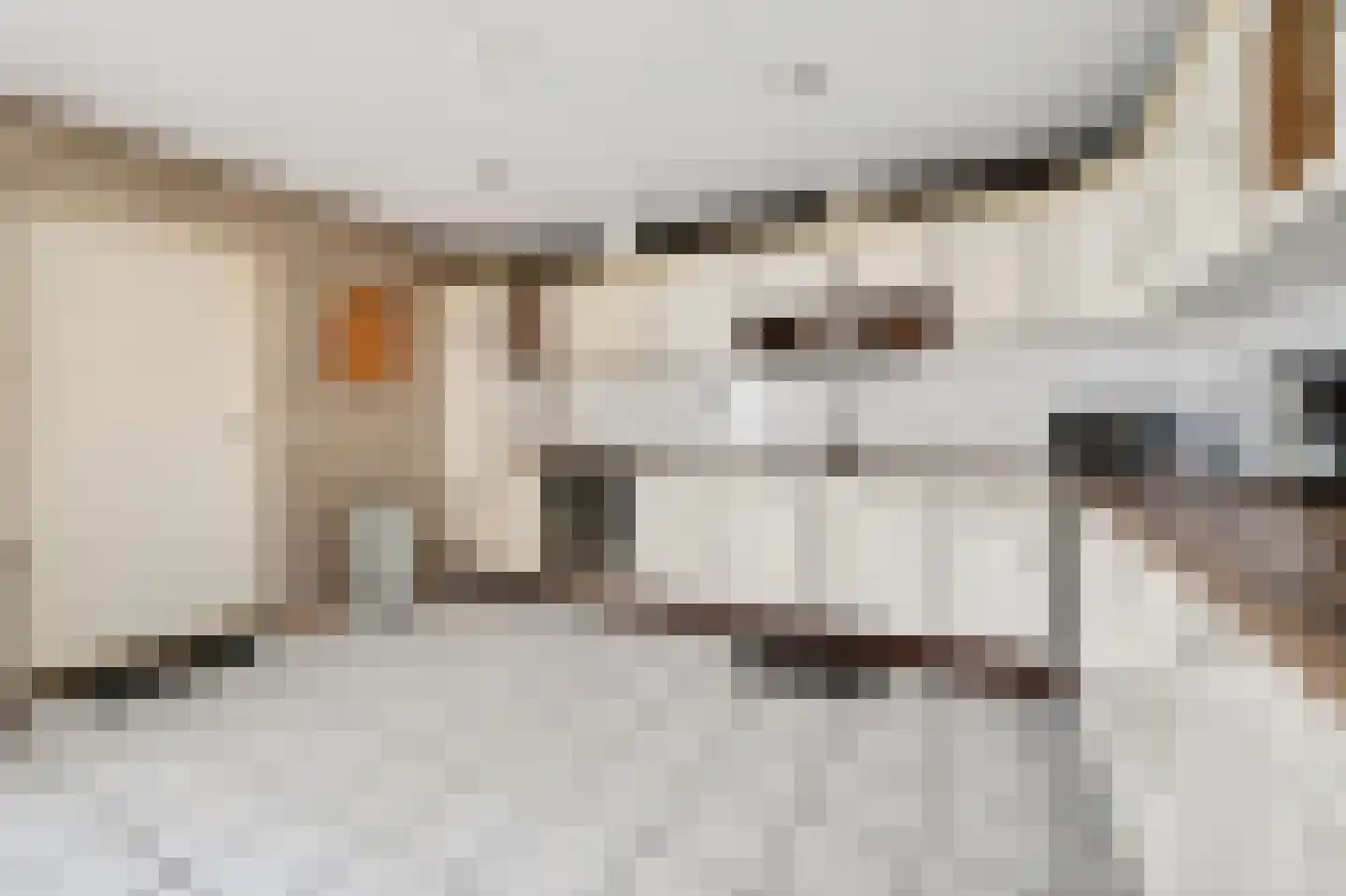 Scheerboom 4 Emmer-Compascuum thumbnail 14