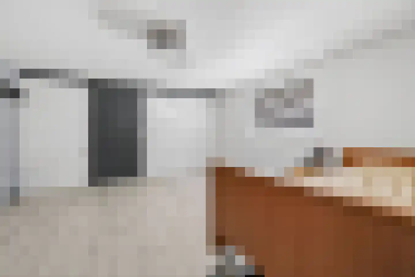 Scheerboom 4 Emmer-Compascuum thumbnail 18