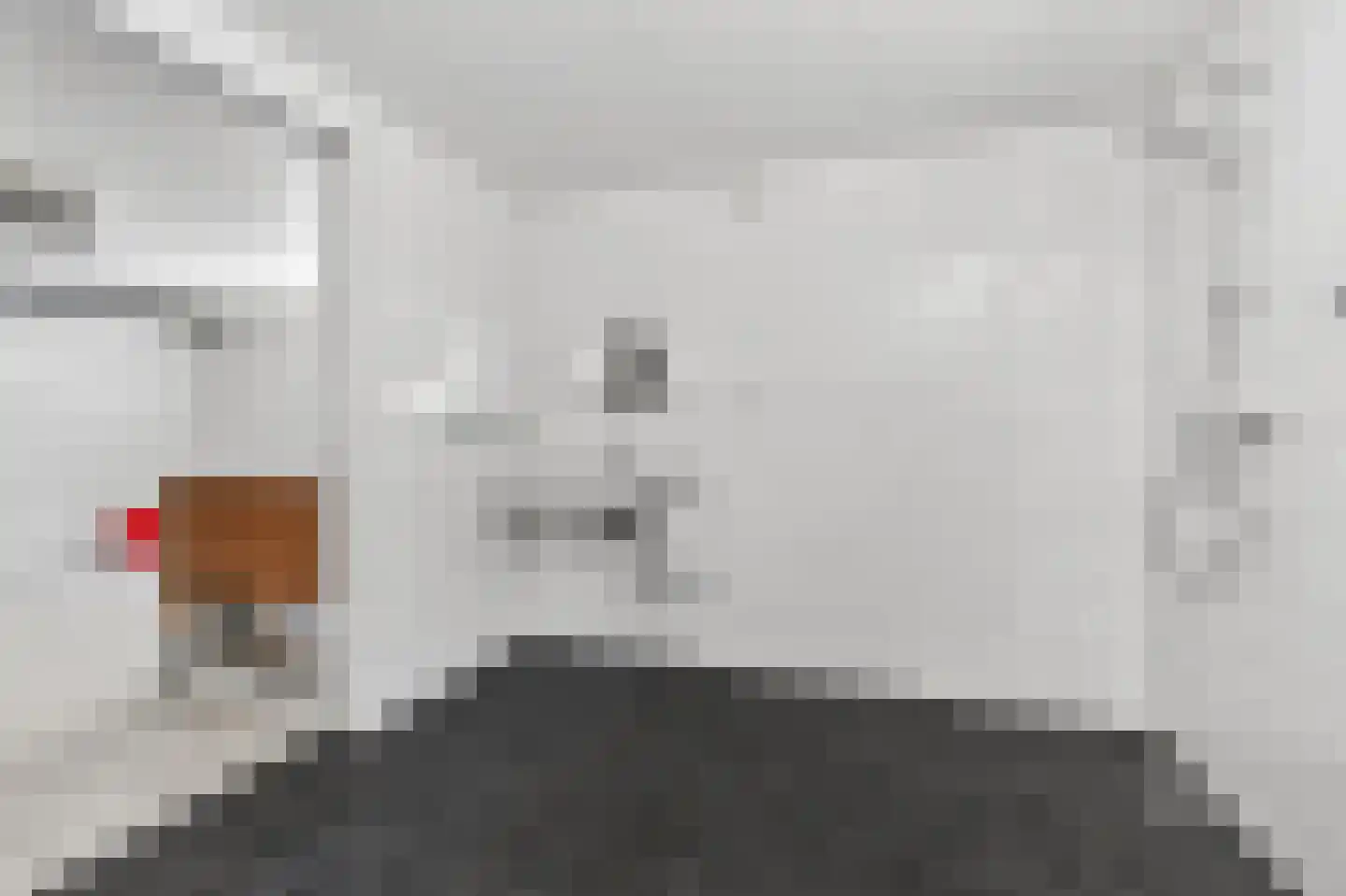 Scheerboom 4 Emmer-Compascuum thumbnail 20