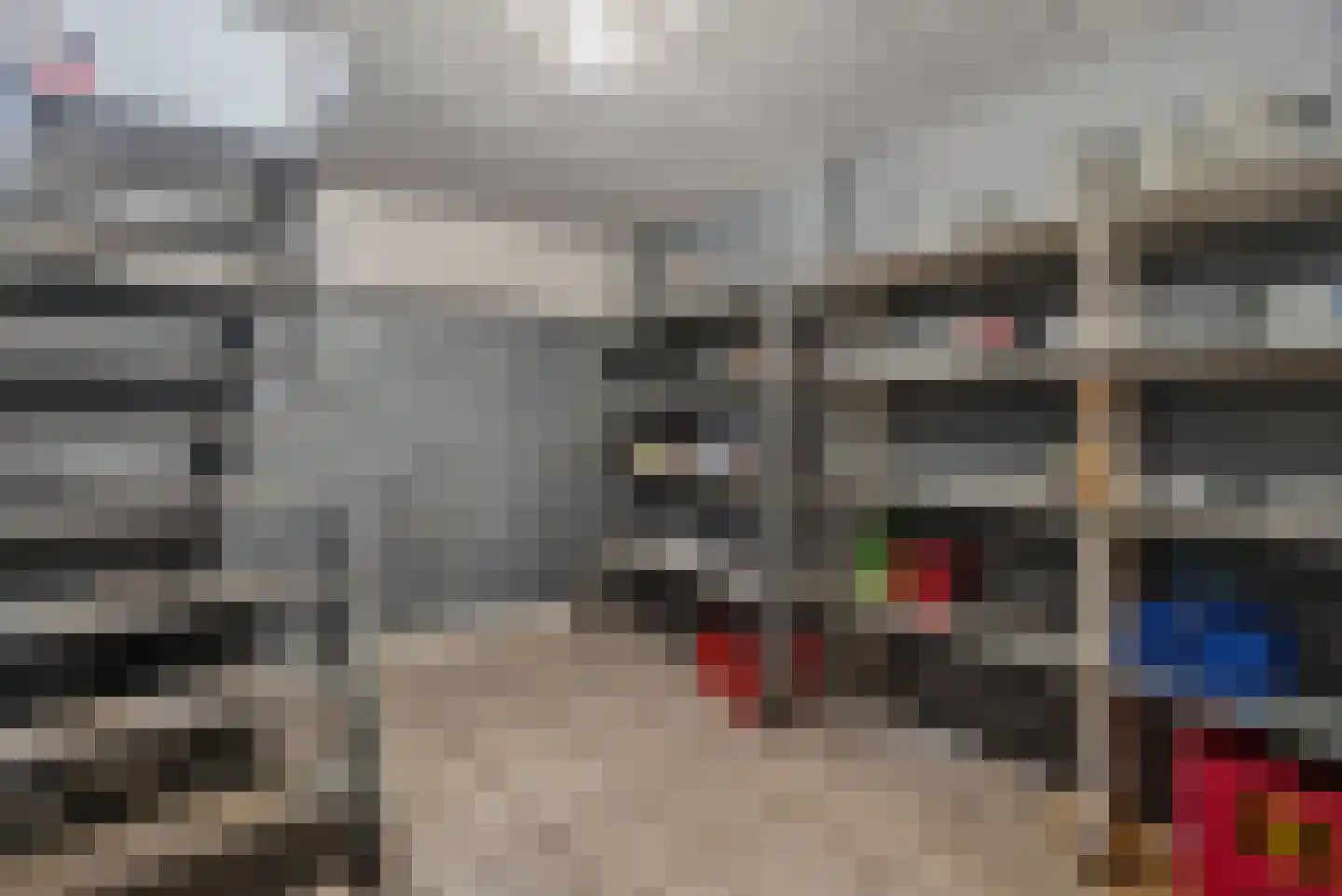 Scheerboom 4 Emmer-Compascuum thumbnail 21