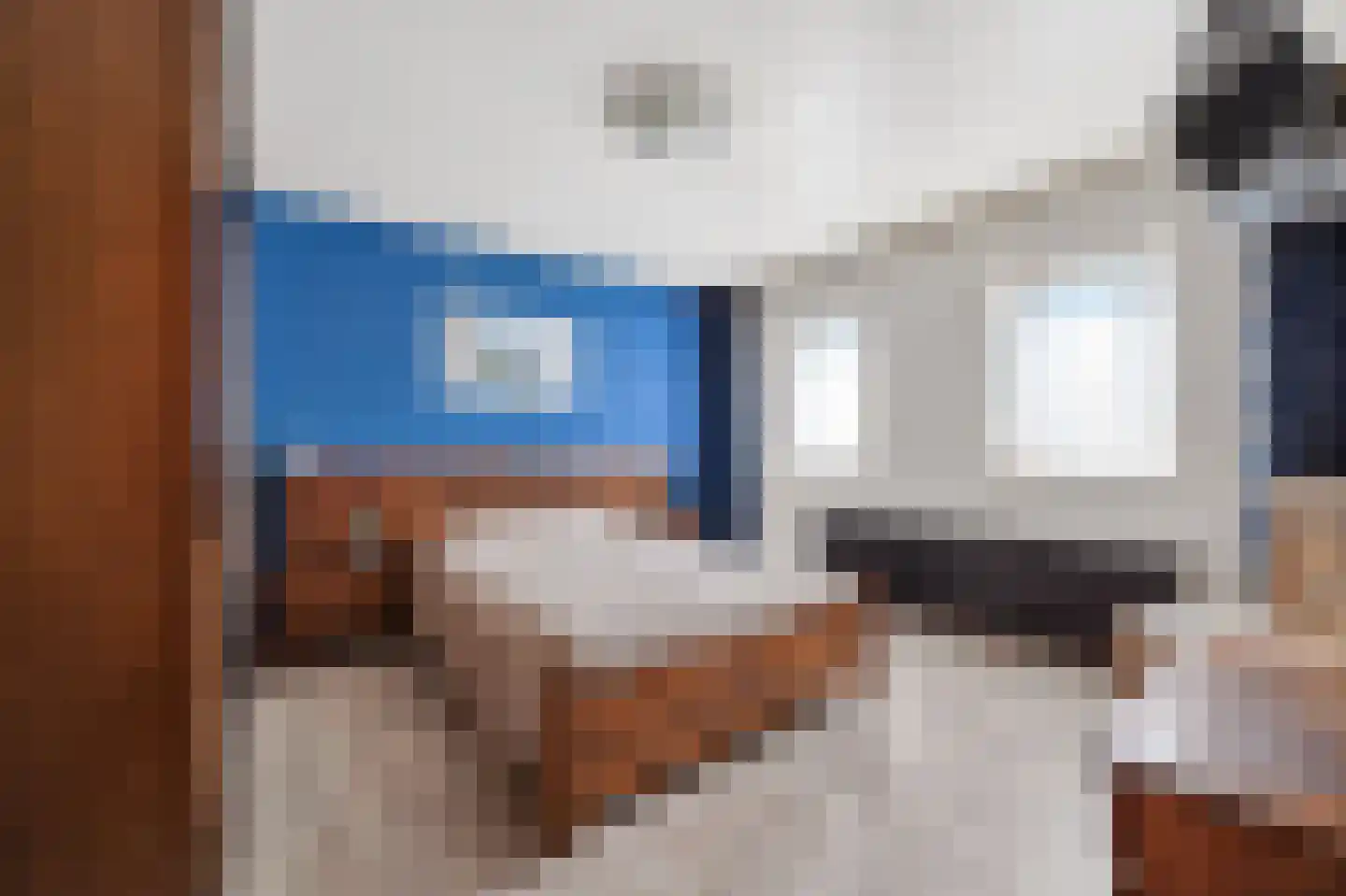 Scheerboom 4 Emmer-Compascuum thumbnail 23