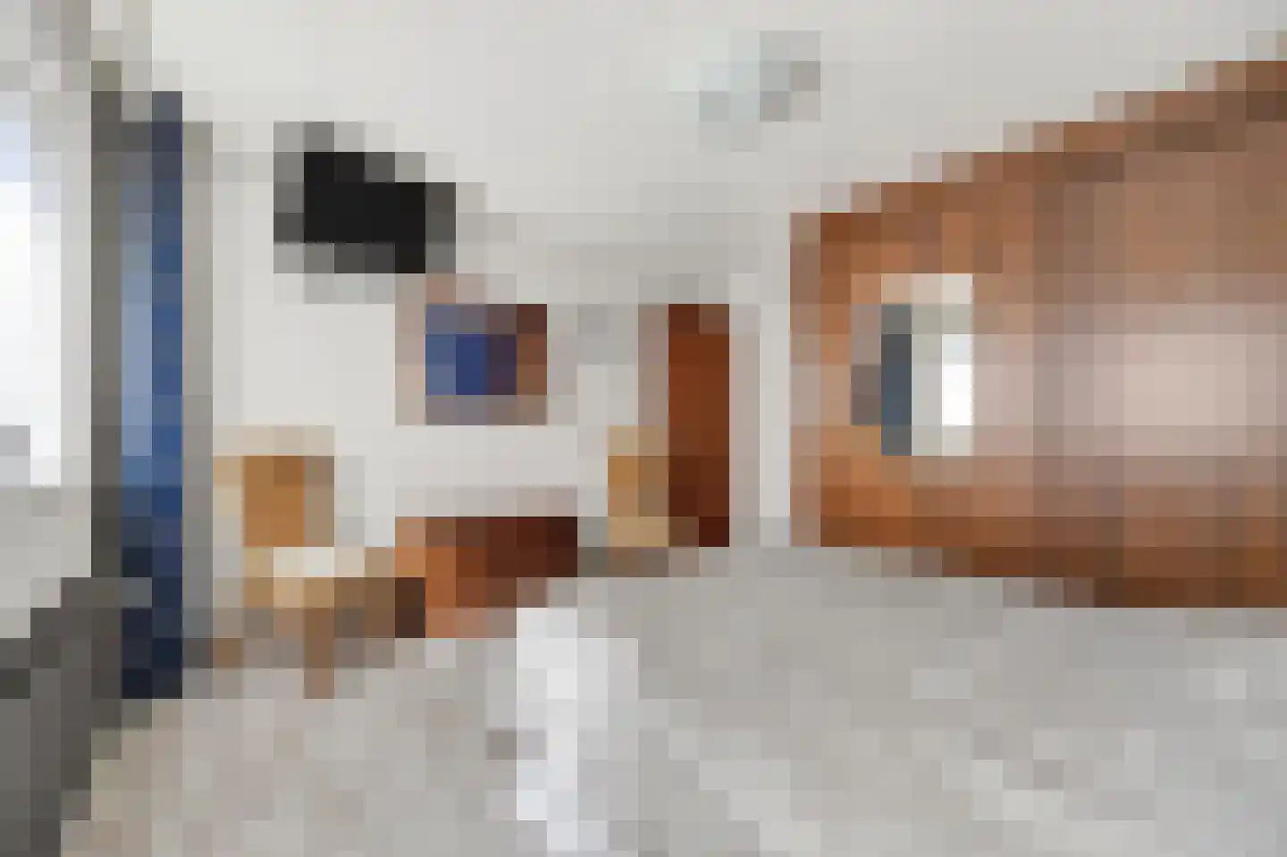 Scheerboom 4 Emmer-Compascuum thumbnail 24