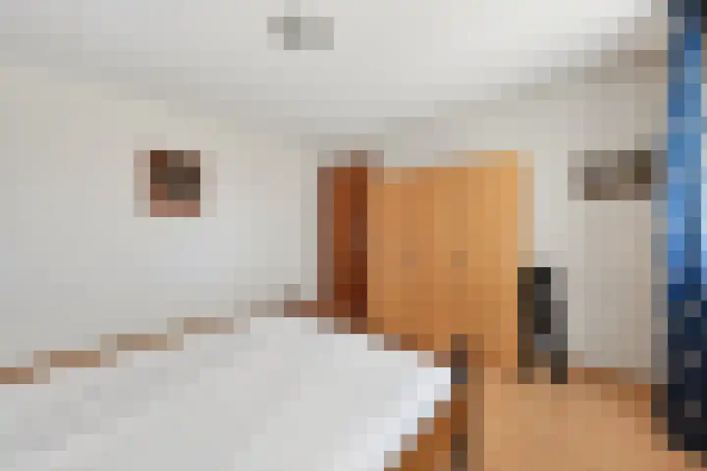 Scheerboom 4 Emmer-Compascuum thumbnail 28