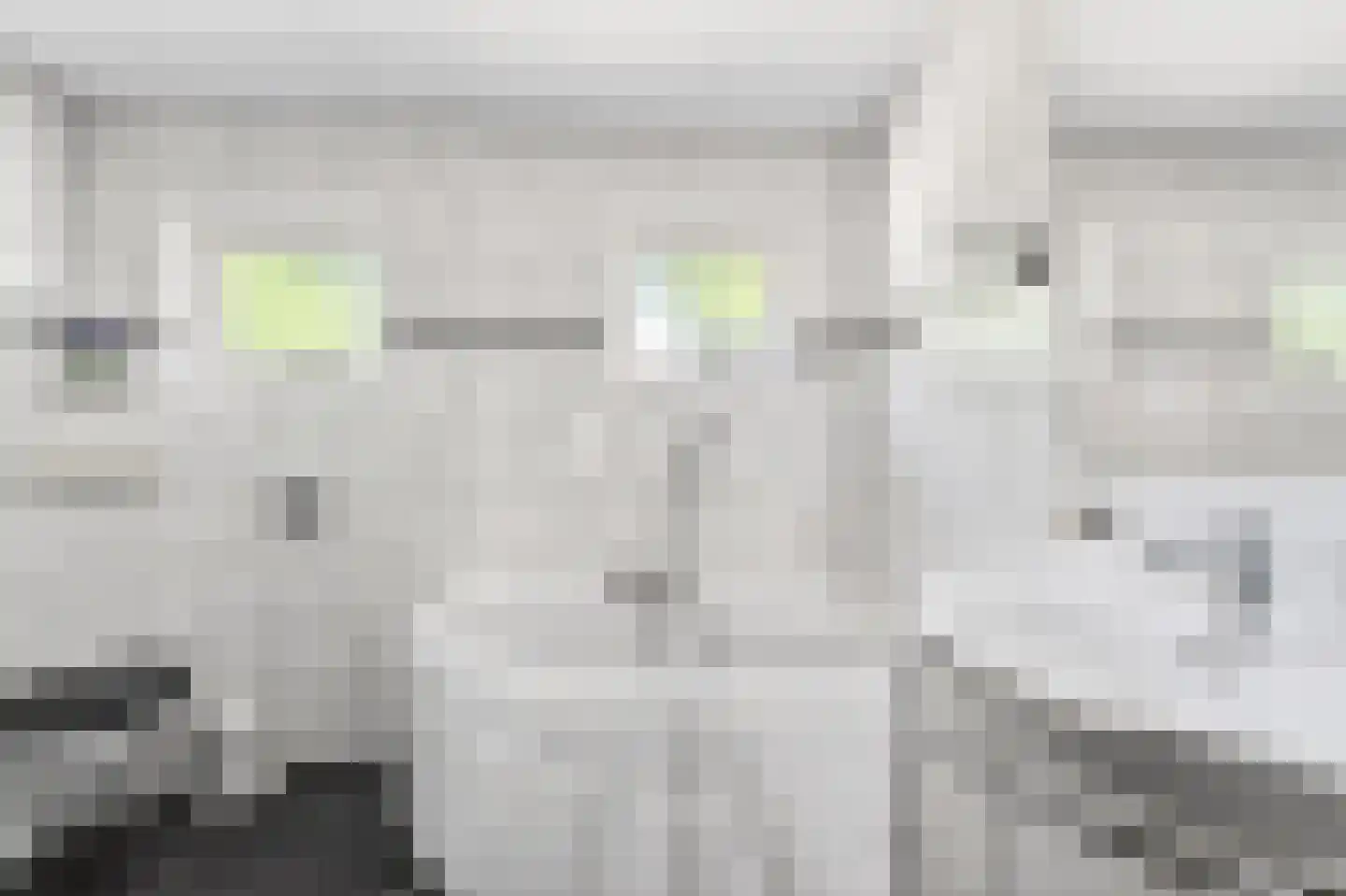 Scheerboom 4 Emmer-Compascuum thumbnail 29