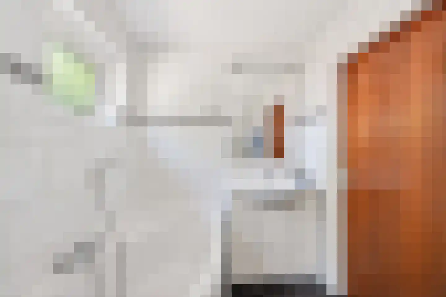 Scheerboom 4 Emmer-Compascuum thumbnail 30