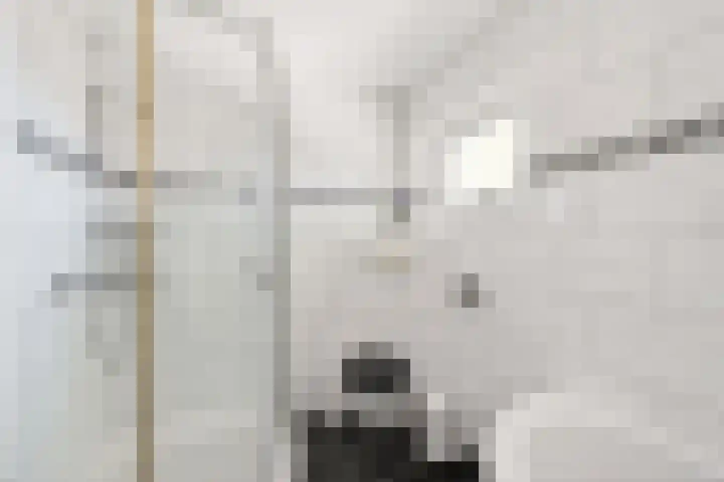 Scheerboom 4 Emmer-Compascuum thumbnail 31