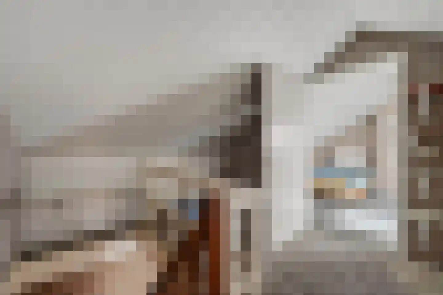 Scheerboom 4 Emmer-Compascuum thumbnail 32