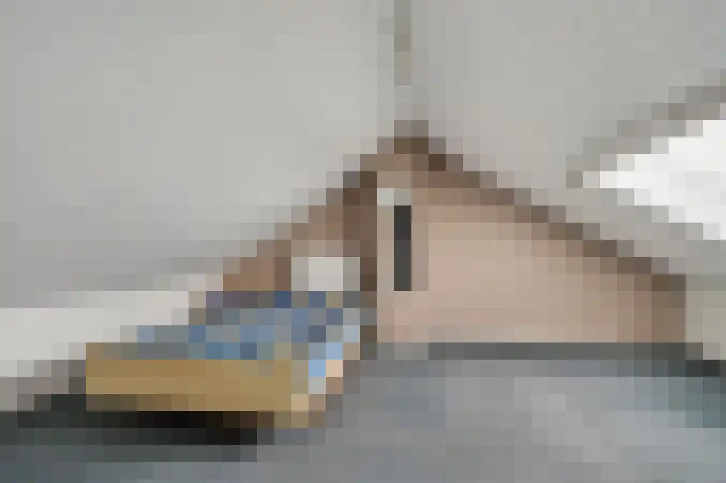 Scheerboom 4 Emmer-Compascuum thumbnail 33