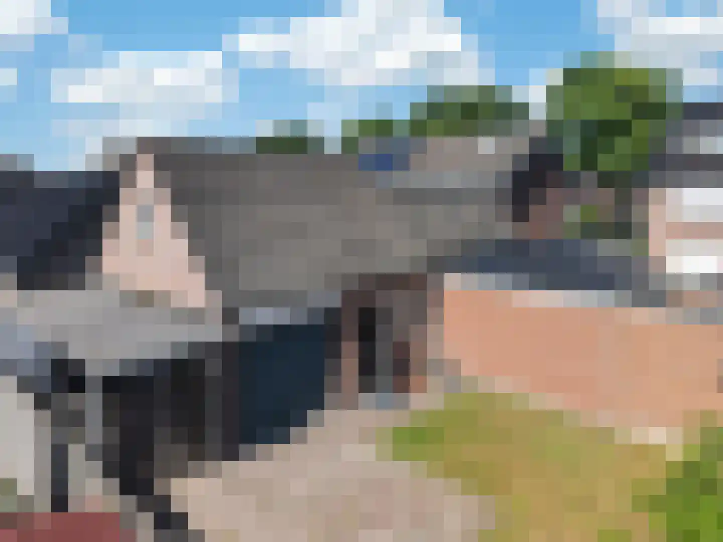Scheerboom 4 Emmer-Compascuum thumbnail 35