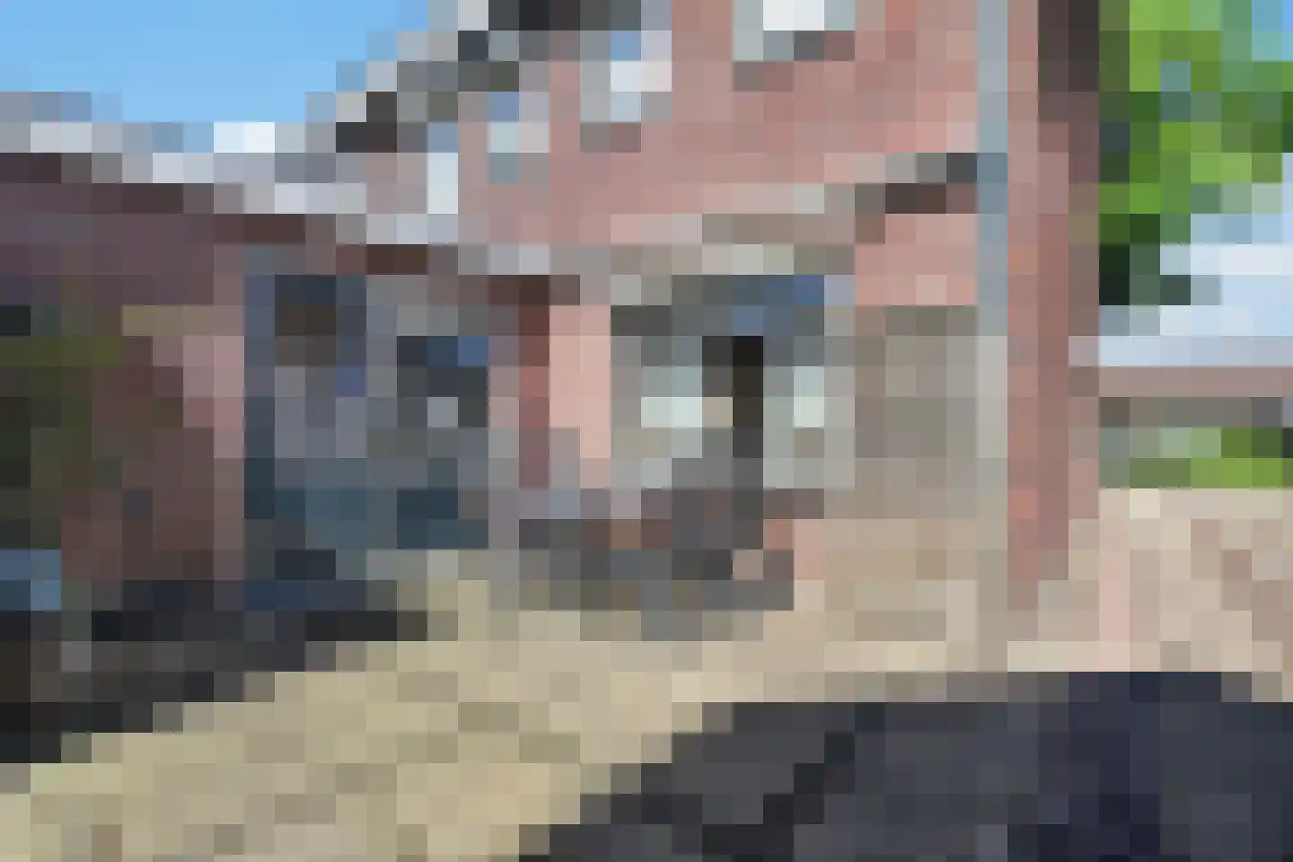 Scheerboom 4 Emmer-Compascuum thumbnail 36