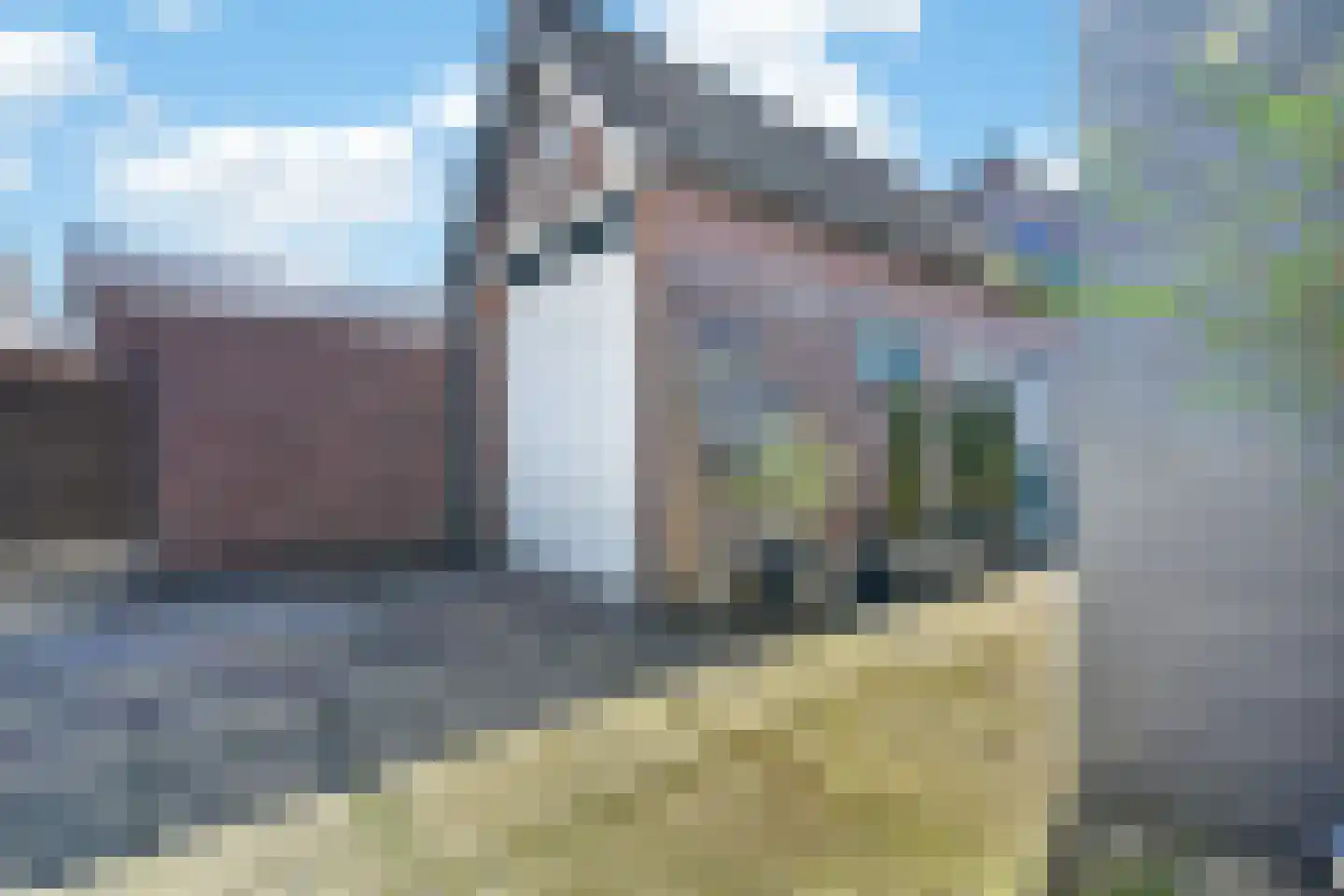 Scheerboom 4 Emmer-Compascuum thumbnail 38