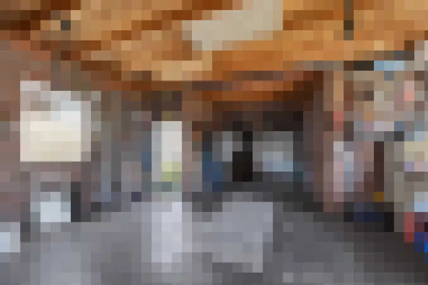 Scheerboom 4 Emmer-Compascuum thumbnail 39