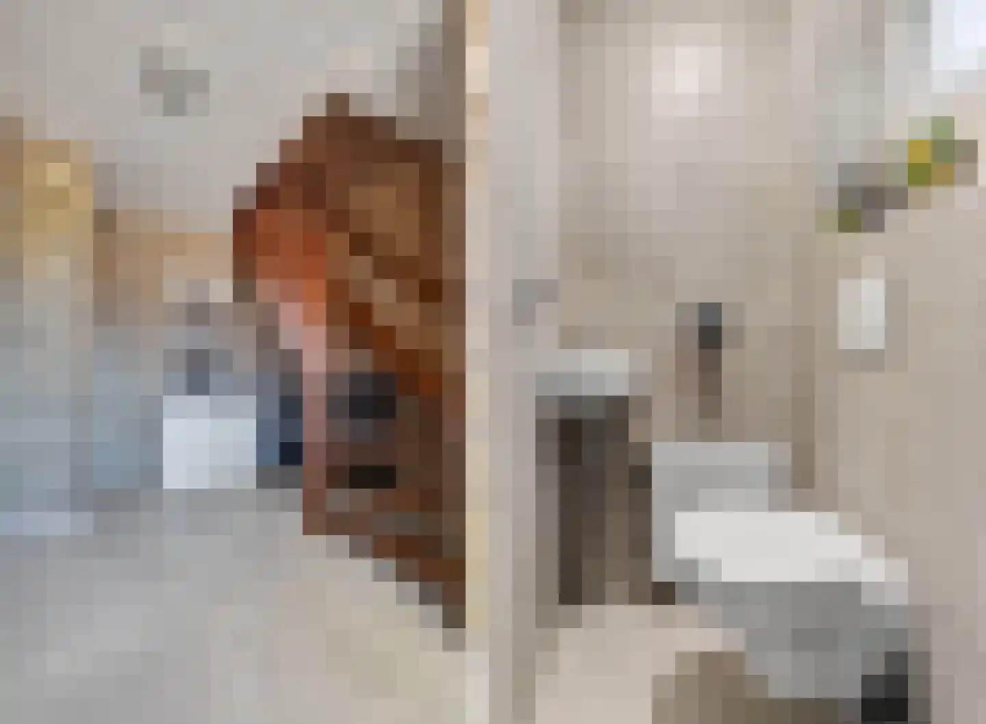 Scheerboom 4 Emmer-Compascuum thumbnail 4