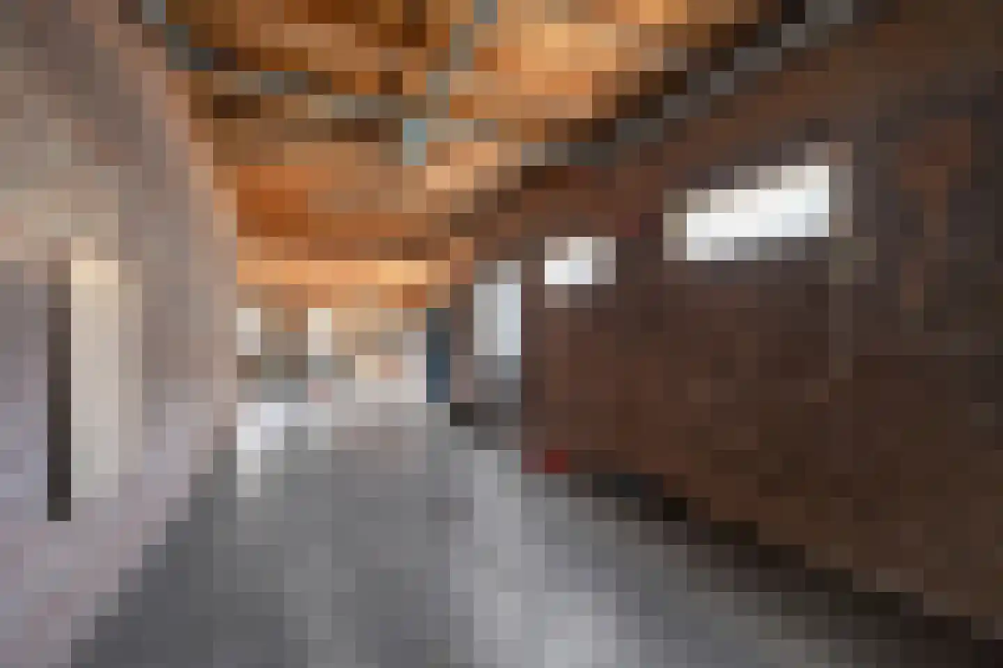 Scheerboom 4 Emmer-Compascuum thumbnail 40