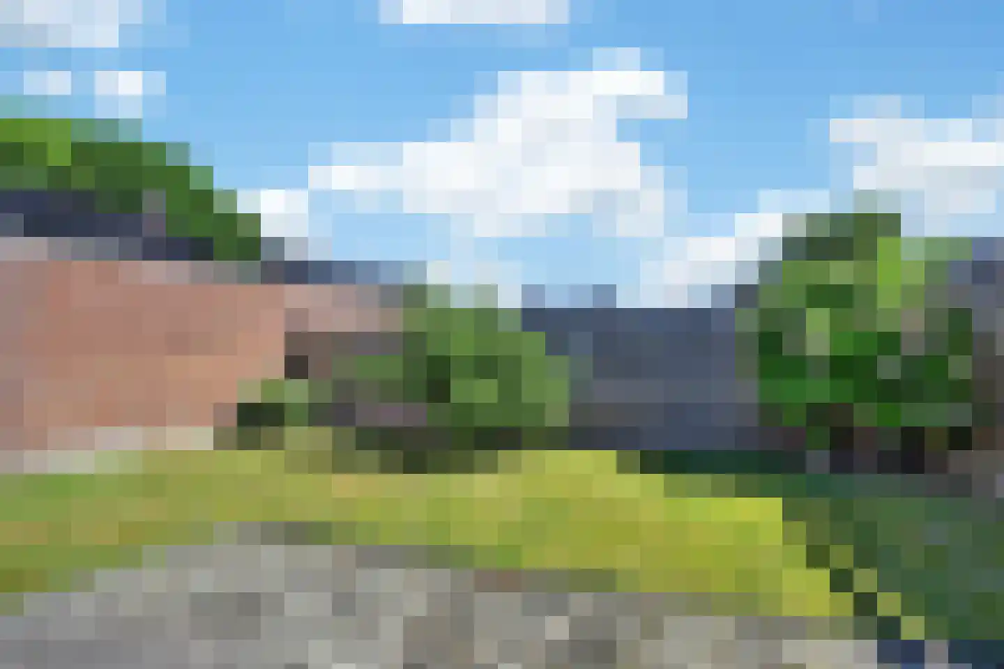 Scheerboom 4 Emmer-Compascuum thumbnail 42
