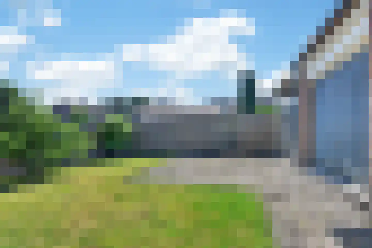 Scheerboom 4 Emmer-Compascuum thumbnail 44