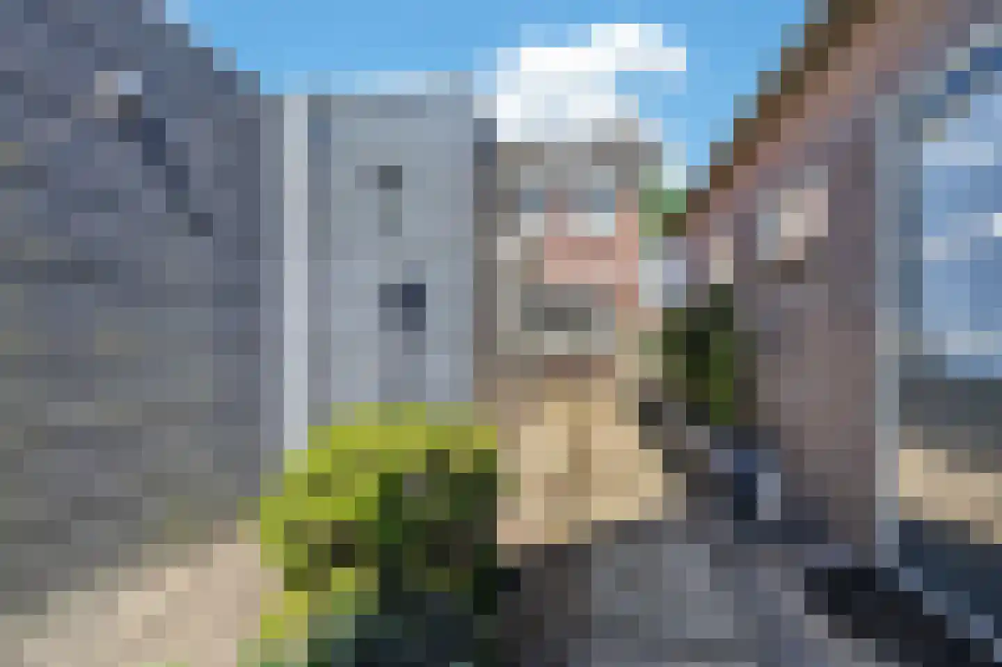 Scheerboom 4 Emmer-Compascuum thumbnail 45