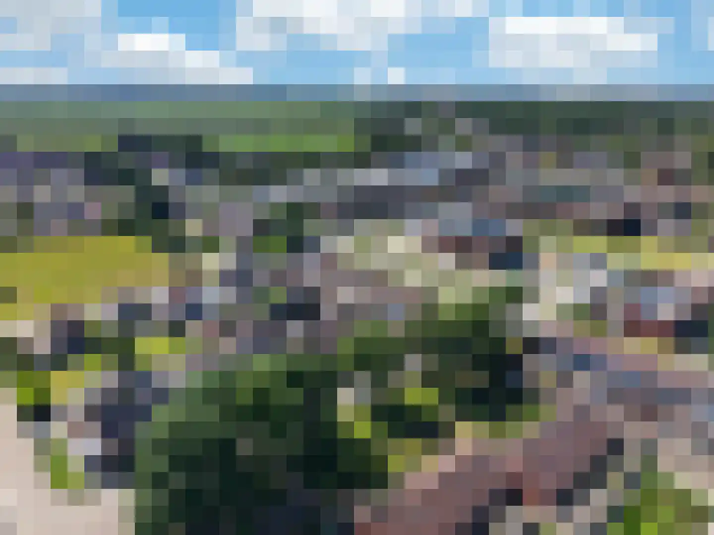 Scheerboom 4 Emmer-Compascuum thumbnail 48