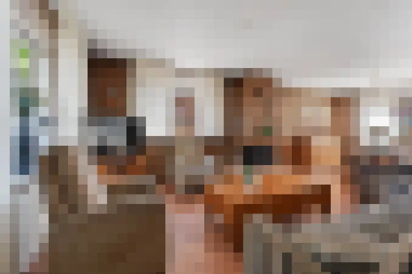Scheerboom 4 Emmer-Compascuum thumbnail 5