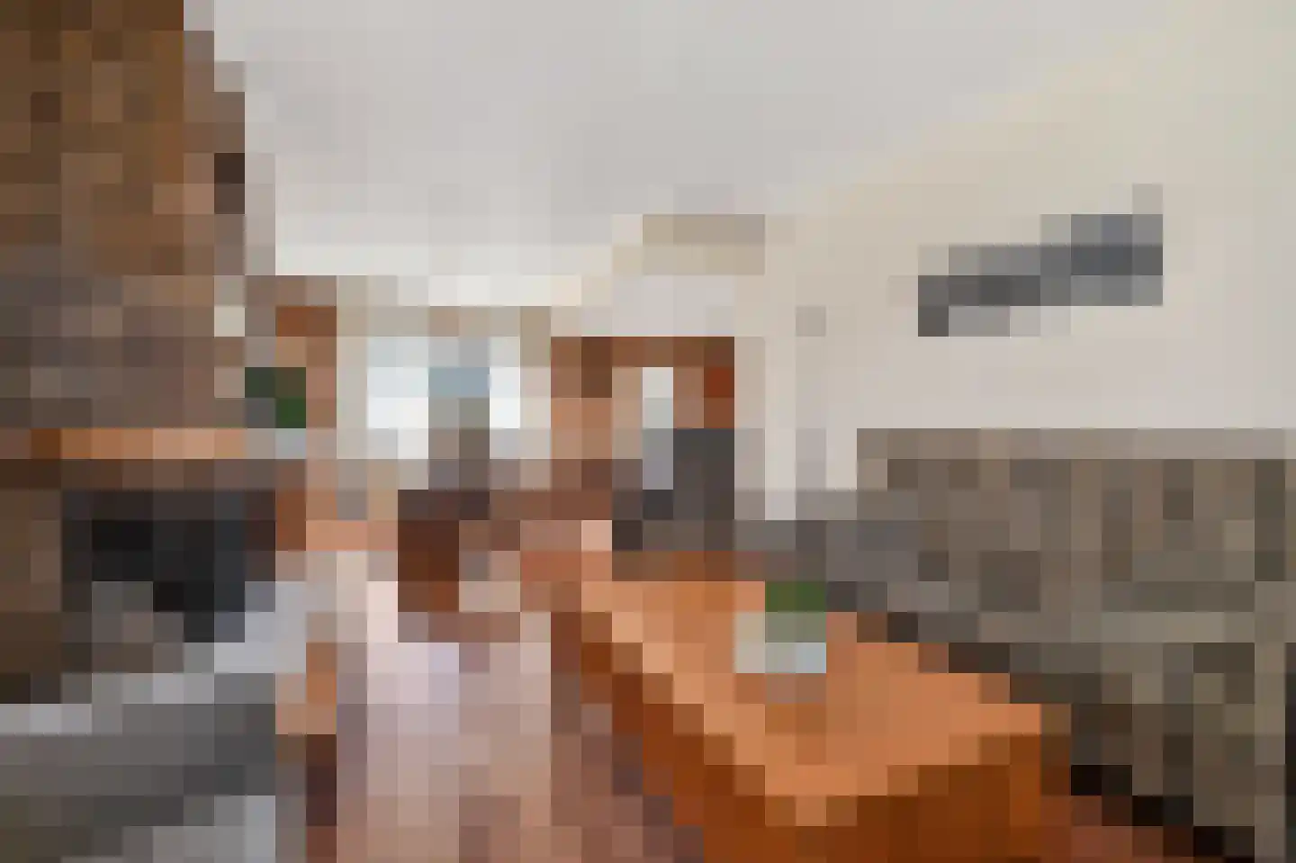 Scheerboom 4 Emmer-Compascuum thumbnail 6