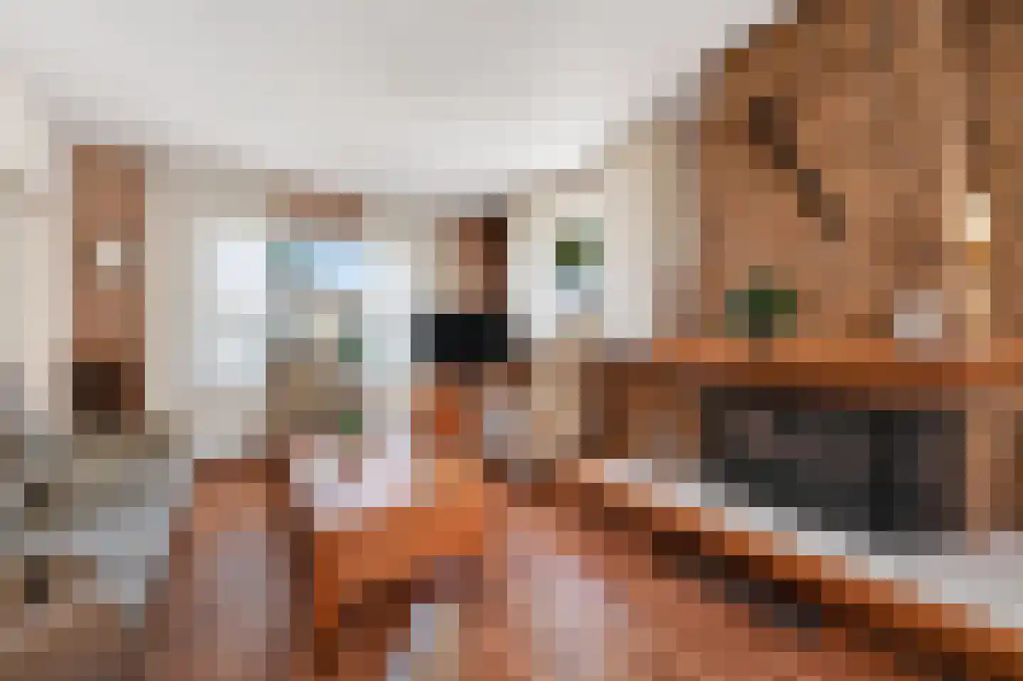 Scheerboom 4 Emmer-Compascuum thumbnail 7