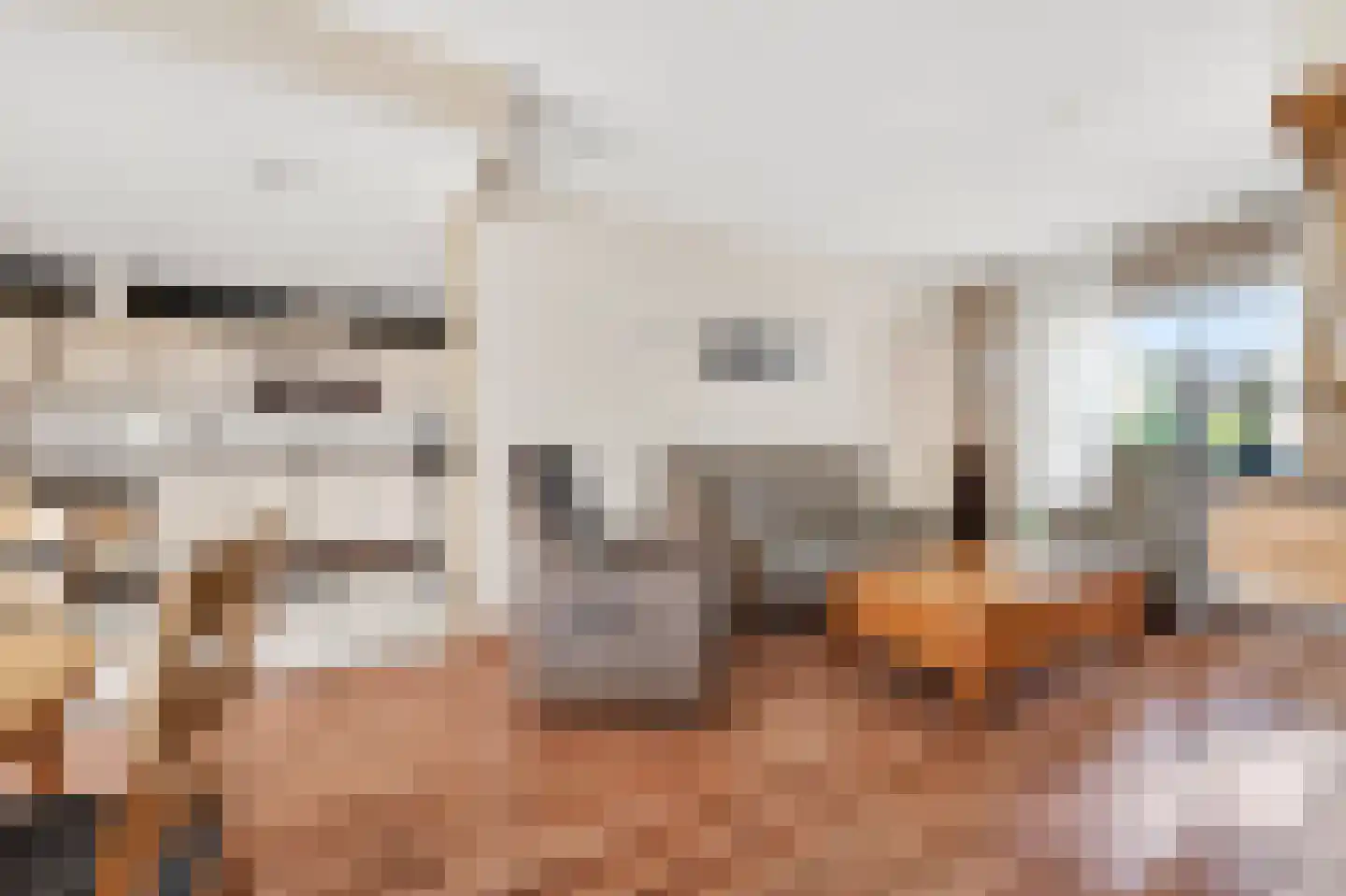 Scheerboom 4 Emmer-Compascuum thumbnail 8
