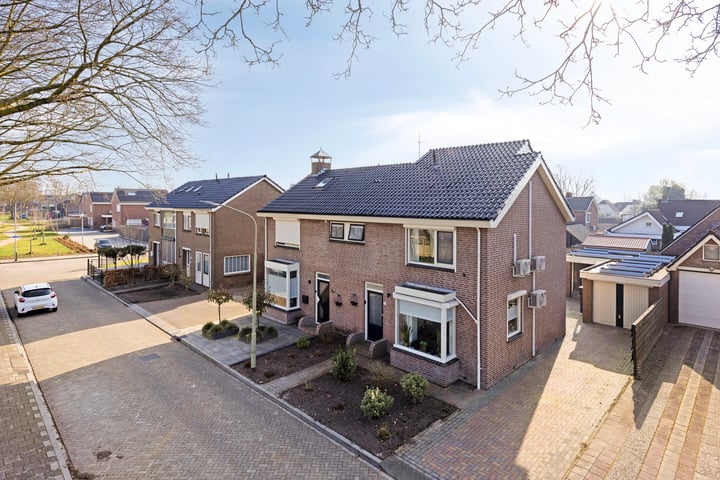 Scheerboom 6 en Emmer-Compascuum foto