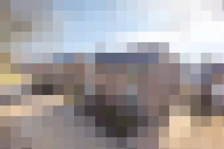 Scheerboom 6 in Emmer-Compascuum