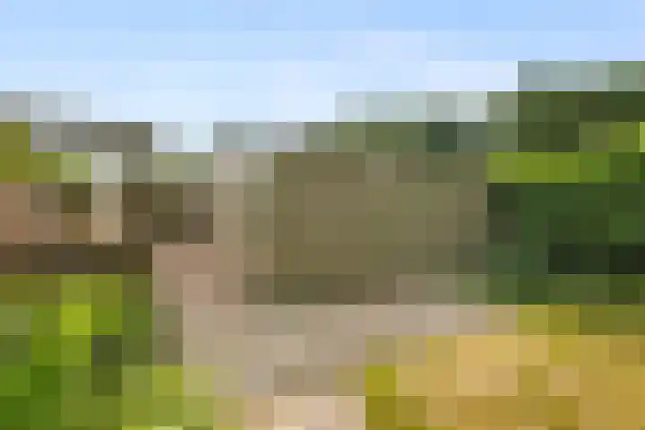 Scheerderhof 13 Helmond thumbnail 17