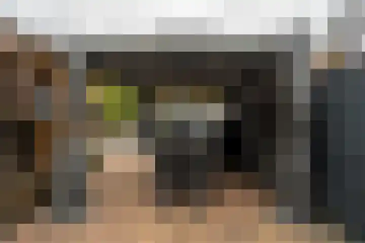 Scheerderhof 13 Helmond thumbnail 18