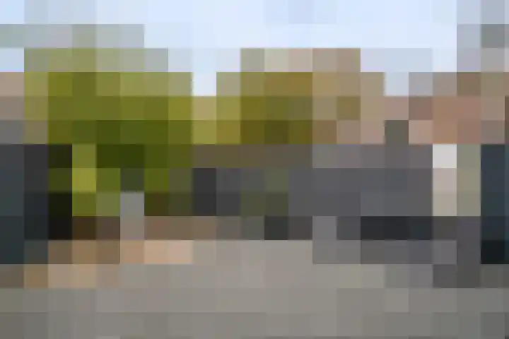 Scheerderhof 13 Helmond thumbnail 19