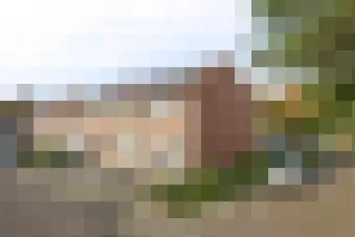 Scheerderhof 13 Helmond thumbnail 37