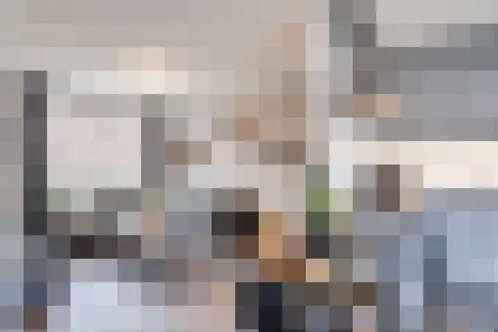 Scheerderhof 13 Helmond thumbnail 9